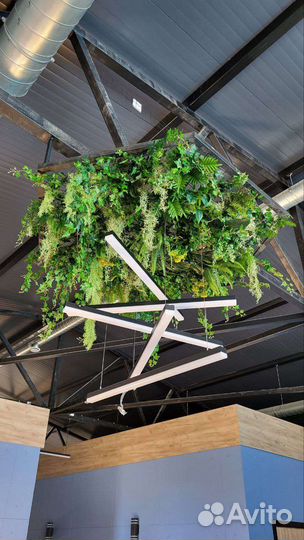 Озеленение ресторанов, кафе, жилых помещений