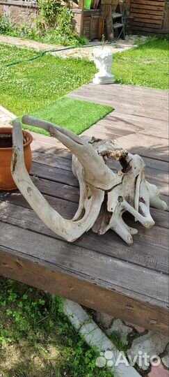 Декор для сада коряга