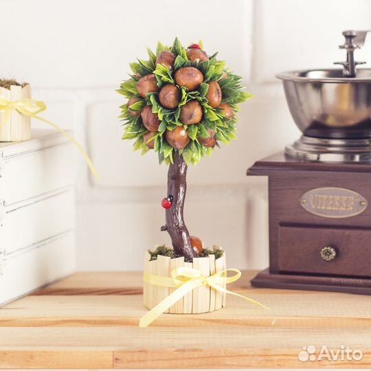 Топиарий ореховый дерево счастья, мини