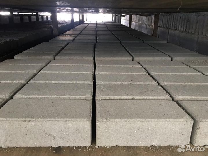 Плитка тротуарная 100х200х60