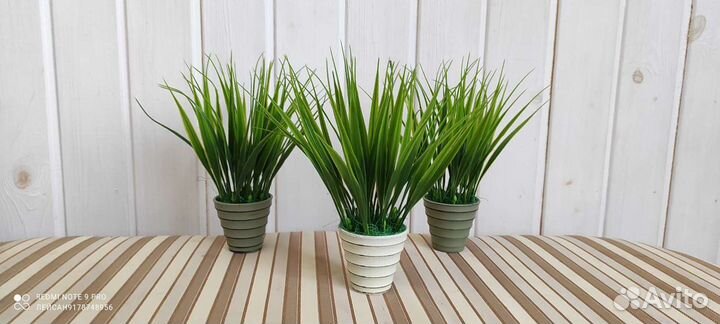 Зелень в горшочках