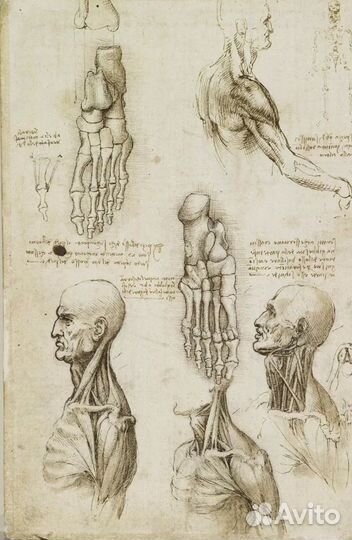 Репетитор по биологии химии Огэ и Егэ, анатомии