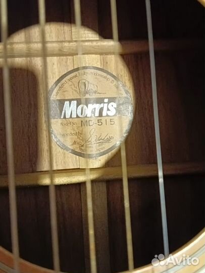 Акустическая гитара Morris MD-515