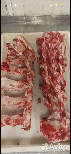 Корм для собак и кошек