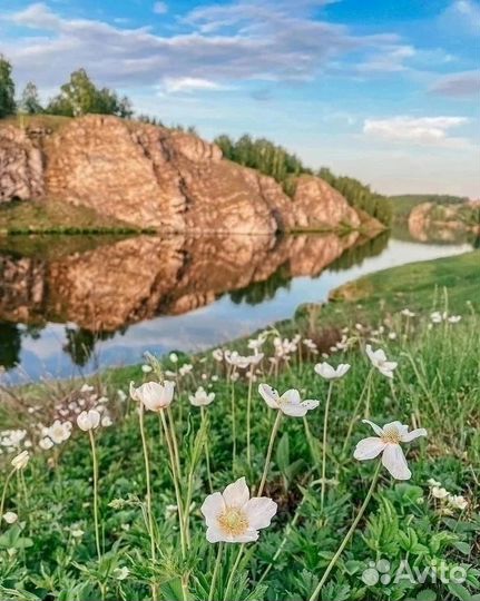 Тур Каньоны Исети на речном трамвае