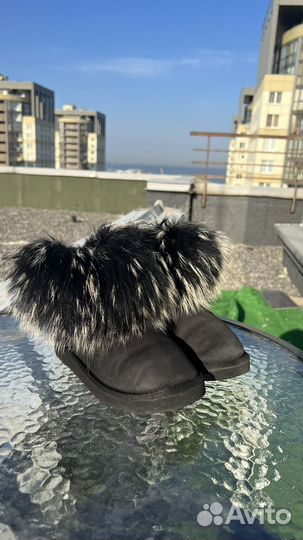 Сапоги UGG оригинал