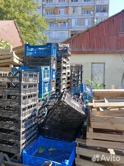 Ящики пластиковые