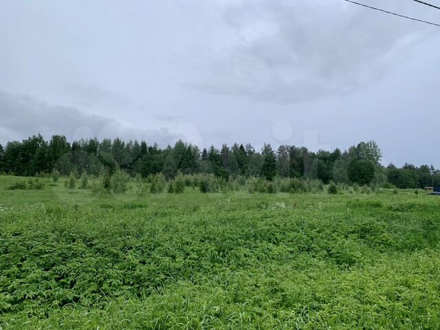 Участок 9 сот. (СНТ, ДНП)