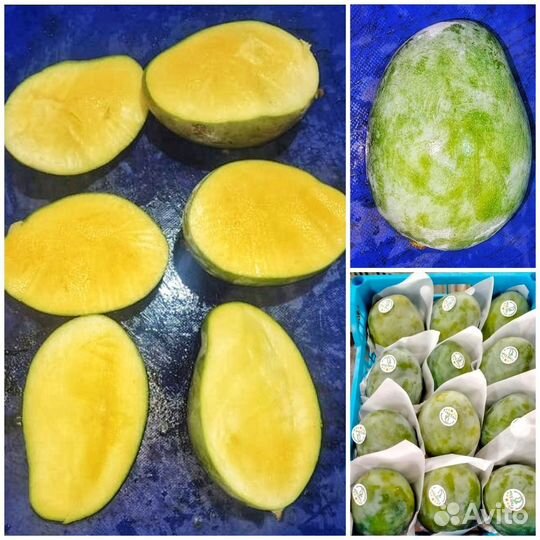 Мандарин, Гранат, Лимон, Манго, Виноград, Яблоко