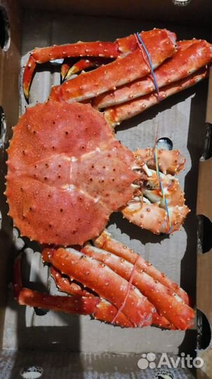 Краб камчатский. Оригинальный подарок