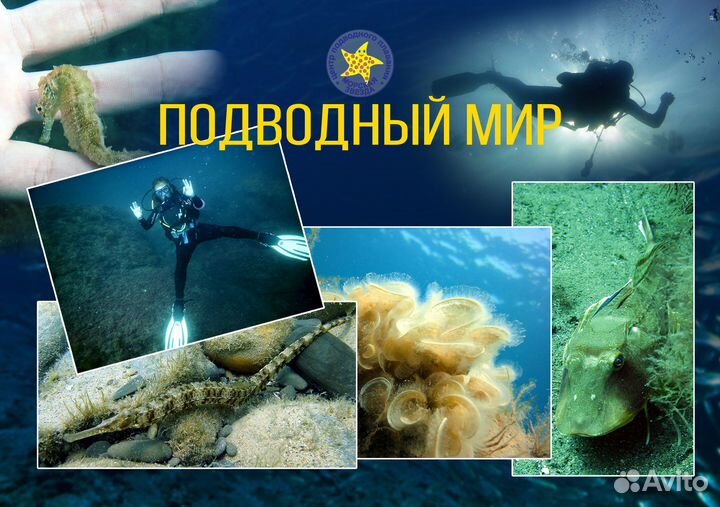 Дайвинг. Анапа. обучение padi, NDL