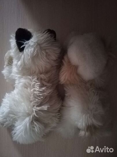 Мягкие игрушки кот и пес набор