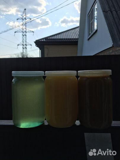 Мед майский Акация+Сады свежий с доставкой 2023