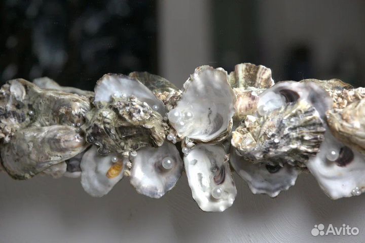 Зеркало в раме из ракушек устриц с жемчугом