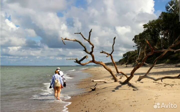 Куршская Коса экскурсия индивидуальные поездки