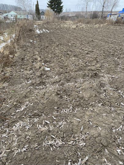 Участок 11 сот. (ИЖС)