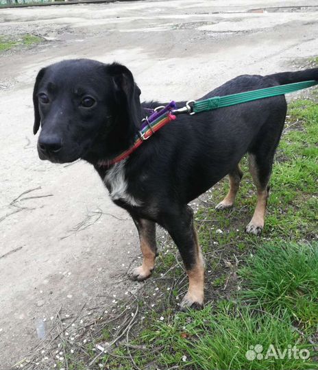 Девочка в добрые ручки