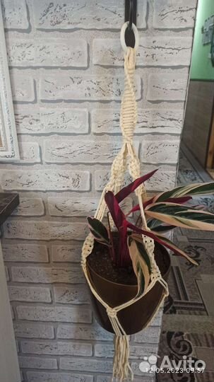 Кашпо для цветов макраме