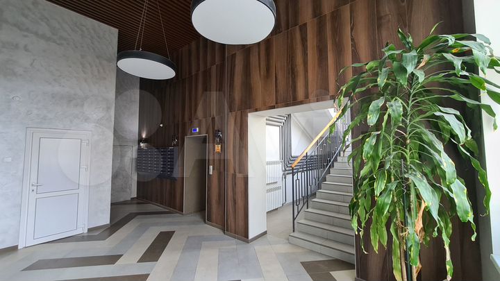 1-к. квартира, 49,2 м², 5/8 эт.