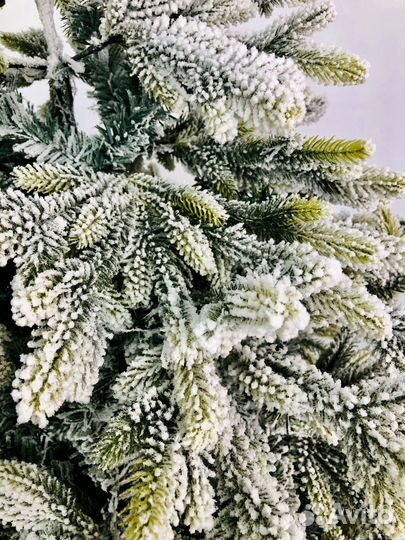 Заснеженная елка