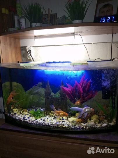 Продам аквариумы с рыбками
