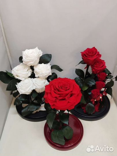 Роза в колбе оптом