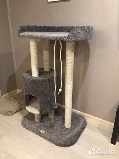 Когтеточка с домиком для мейн-куна «Падишах»