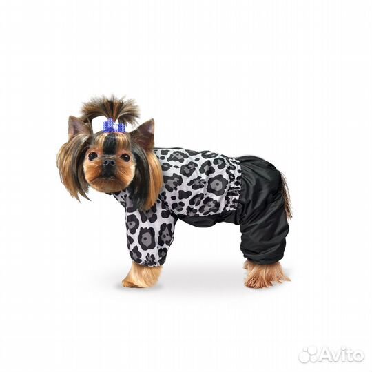 Зимняя одежда для собак