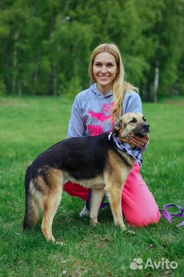 Собака в добрые руки, Никс