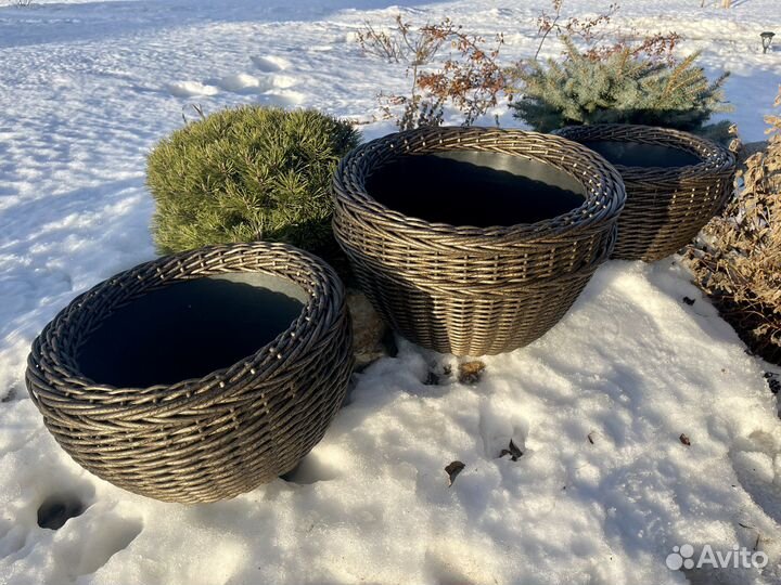 Набор кашпо из ротанга