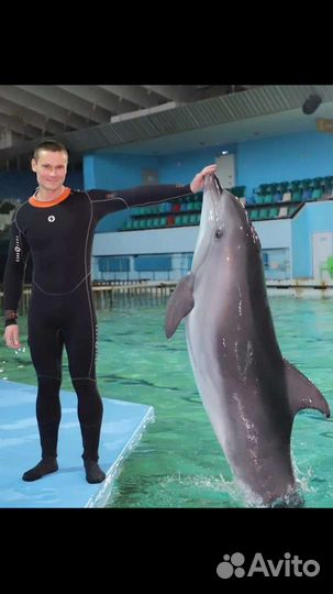 Услуги мастер на час