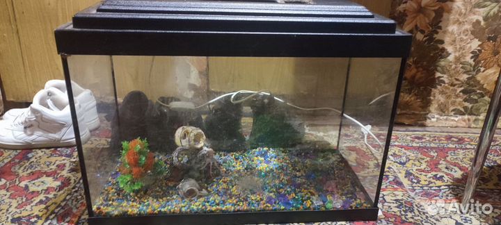 Аквариум 20 литров