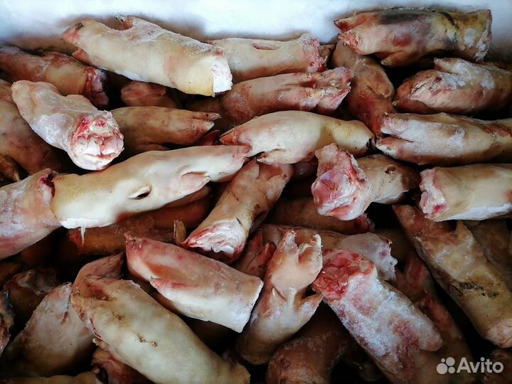 Свиные ножки