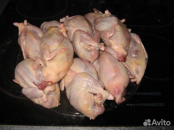 Яйца и Мясо перепелов