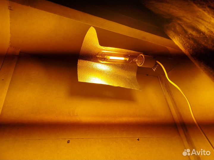 Лампа днат 250 комплект