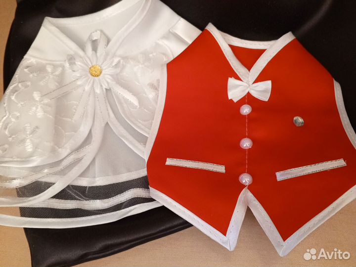 Одежда для шампанского