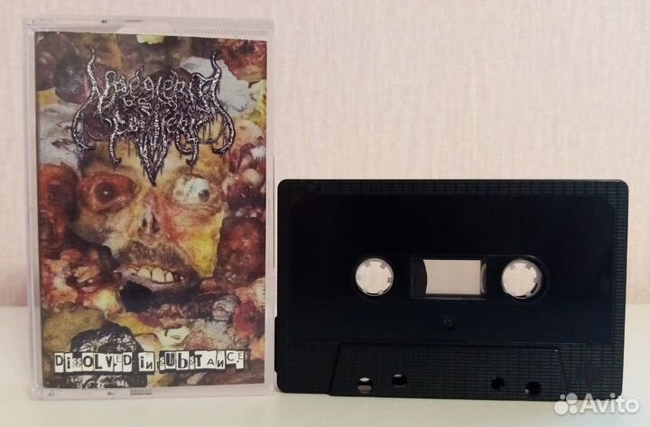 Naegleria Fowleri – Dissolved In Substance