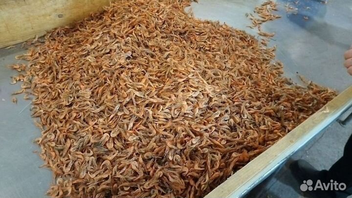 Креветка азовская доставка, самовывоз