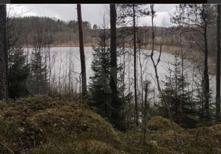 Участок 5,5 га (ИЖС)