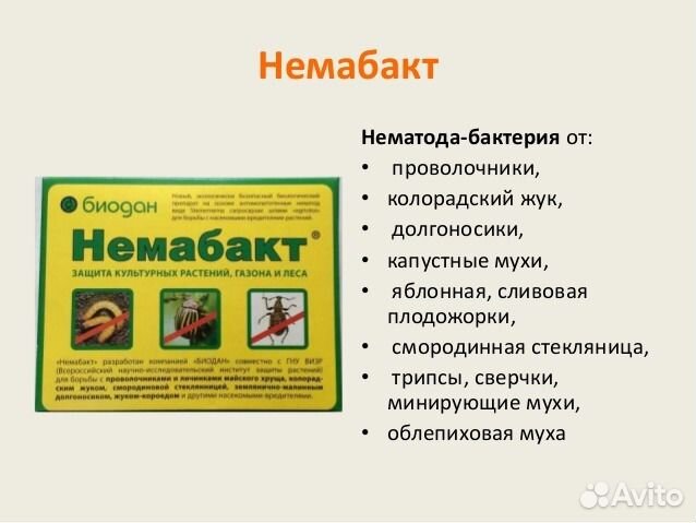 Немабакт - биопрепарат