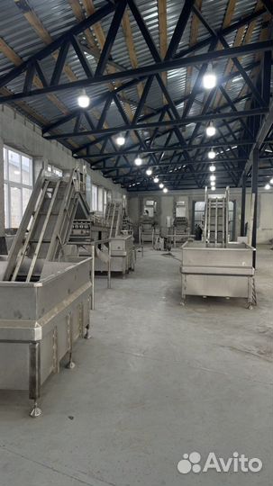 Сортировщик рыбы, рольганг, мойка под рыбу