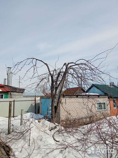 Спил деревьев Обрезка