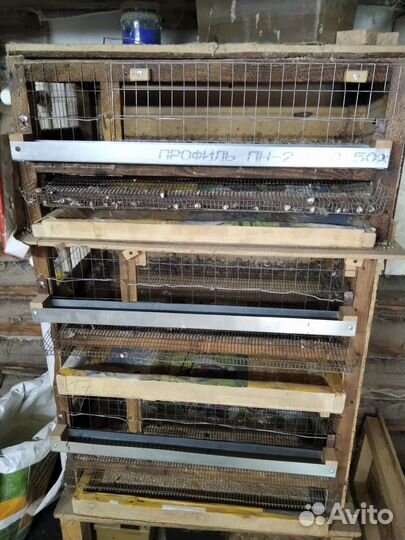 Клетки для перепелов б/у