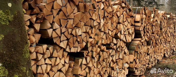 Дрова береза осина ольха