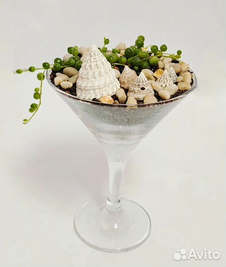 Флорариум Безмятежность