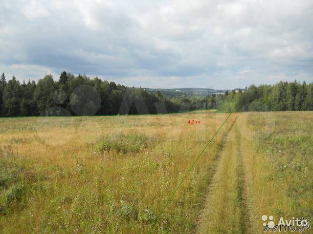 Участок 4,2 га (СНТ, ДНП)