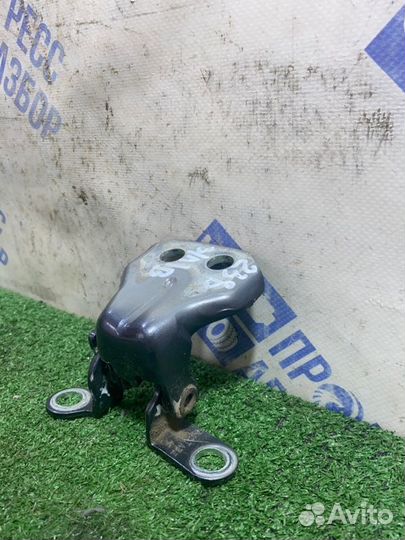 Петля двери задняя левая Ford Fusion хэтчбек 1.6