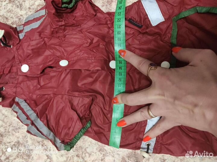 Одежда для собак