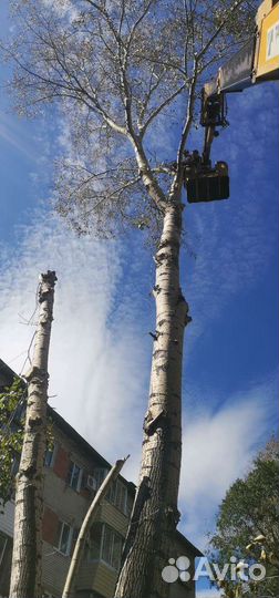 Аренда и услуги автовышки