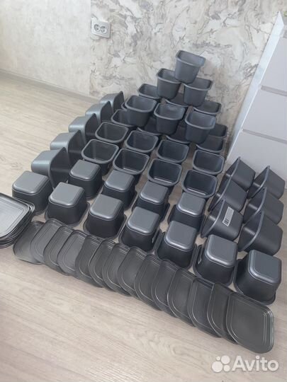 Контейнеры 50 шт